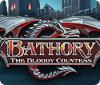 Bathory: The Bloody Countess 게임