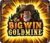 Big Win Goldmine 게임