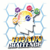 Brain Challenge 게임