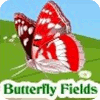Butterfly Fields 게임