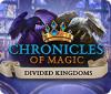 Chronicles of Magic: The Divided Kingdoms 게임
