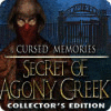 Cursed Memories: The Secret of Agony Creek Collector's Edition 게임