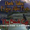 Dark Tales: Edgar Allan Poe's The Black Cat Collector's Edition 게임