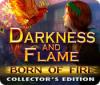 Darkness and Flame: Born of Fire Collector's Edition 게임