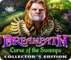 Dreampath: Curse of the Swamps Collector's Edition 게임