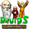 Druid's Battle of Magic 게임