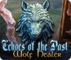 Echoes of the Past: Wolf Healer 게임