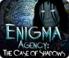 Enigma Agency: The Case of Shadows 게임