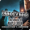 Enigmatis: The Ghosts of Maple Creek Collector's Edition 게임