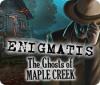 Enigmatis: The Ghosts of Maple Creek 게임