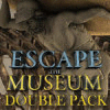 Escape the Museum Double Pack 게임