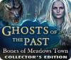 Ghosts of the Past: Bones of Meadows Town Collector's Edition 게임