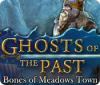 Ghosts of the Past: Bones of Meadows Town 게임