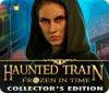 Haunted Train: Frozen in Time Collector's Edition 게임