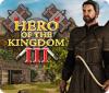 Hero of the Kingdom III 게임