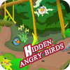 Hidden Angry Birds 게임