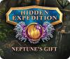 Hidden Expedition: Neptune's Gift 게임