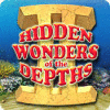Hidden Wonders of the Depths 2 게임