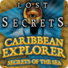Lost Secrets: Caribbean Explorer Secrets of the Sea 게임
