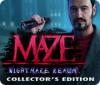 Maze: Nightmare Realm Collector's Edition 게임