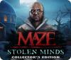Maze: Stolen Minds Collector's Edition 게임