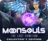 Moonsouls: The Lost Sanctum Collector's Edition 게임