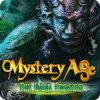 Mystery Age: The Dark Priests 게임
