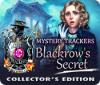 Mystery Trackers: Blackrow's Secret Collector's Edition 게임