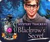 Mystery Trackers: Blackrow's Secret 게임
