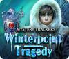 Mystery Trackers: Winterpoint Tragedy 게임