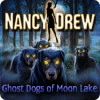 Nancy Drew: Ghost Dogs of Moon Lake 게임