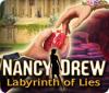 Nancy Drew: Labyrinth of Lies 게임