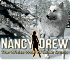 Nancy Drew: The White Wolf of Icicle Creek 게임