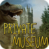 Private Museum 게임