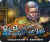 Reflections of Life: Dream Box Collector's Edition 게임