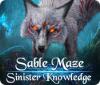 Sable Maze: Sinister Knowledge Collector's Edition 게임