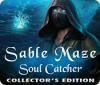 Sable Maze: Soul Catcher Collector's Edition 게임