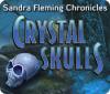 Sandra Fleming Chronicles: The Crystal Skulls 게임