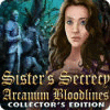 Sister's Secrecy: Arcanum Bloodlines Collector's Edition 게임