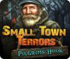 Small Town Terrors: Pilgrim's Hook 게임