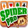 Spider Pro 게임