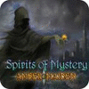 Spirits of Mystery: Amber Maiden Collector's Edition 게임