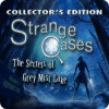 Strange Cases: The Secrets of Grey Mist Lake Collector's Edition 게임