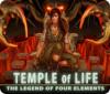 Temple of Life: The Legend of Four Elements 게임