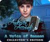 The Andersen Accounts: A Voice of Reason Collector's Edition 게임