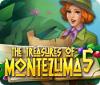 The Treasures of Montezuma 5 게임