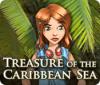 Treasure of the Caribbean Seas 게임