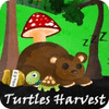 Turtles Harvest 게임