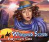 Whispered Secrets: Forgotten Sins 게임