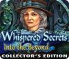 Whispered Secrets: Into the Beyond Collector's Edition 게임